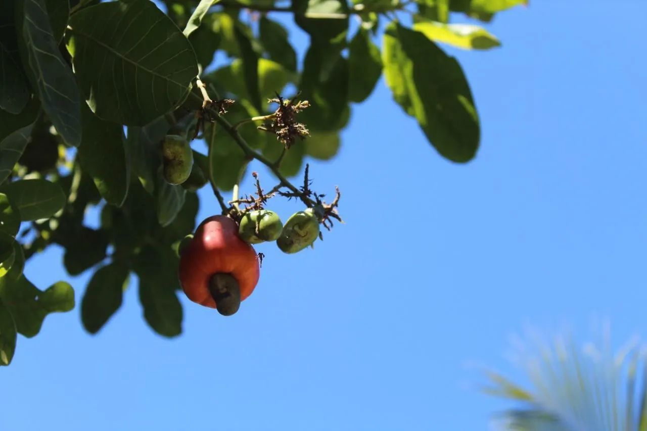 Vila Bahia Chales Ξενοδοχείο Πόρτο Σεγκούρο