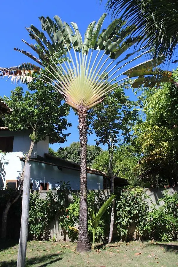 Vila Bahia Chales Hotel Porto Seguro Gasthuis